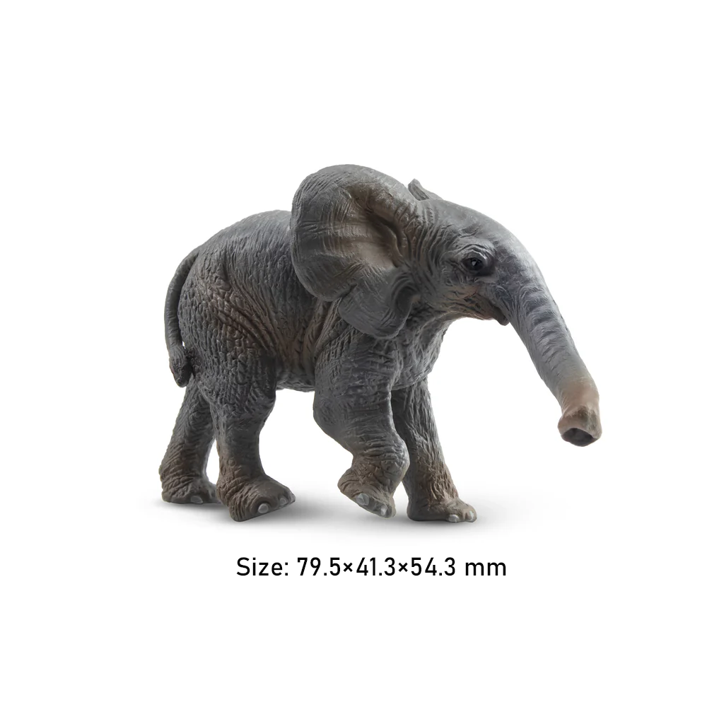 Toymany mainan Model binatang  - Kids Toys Latest ulasan dan harga