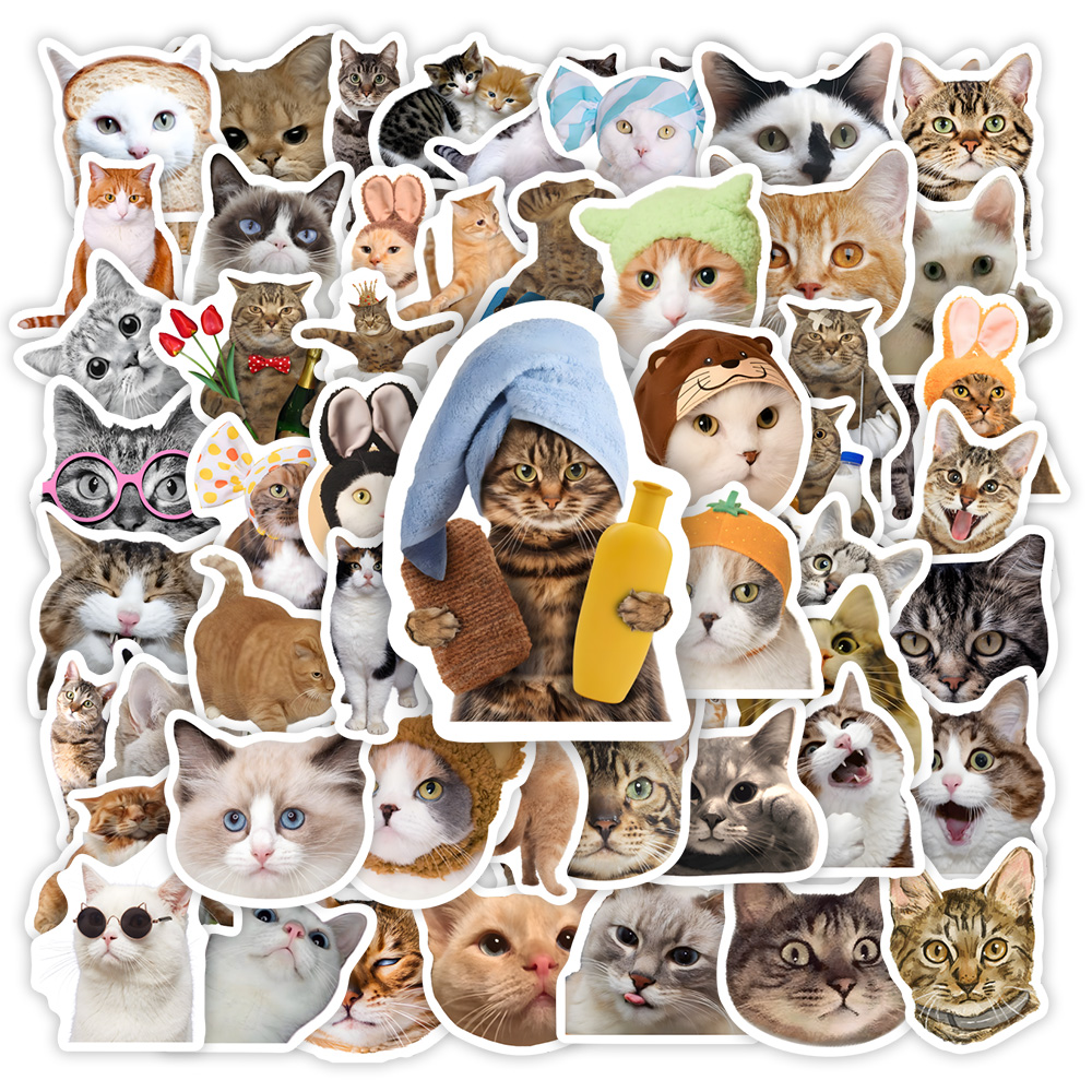 Stiker kucing lucu DIY hadiah  - Kids Toys Clipart ulasan dan harga