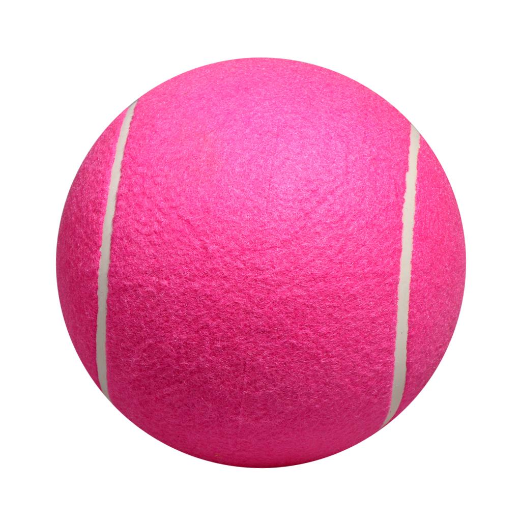 Mainan Bola Tenis Anjing Tiup  - Kids Toys Exhibition ulasan dan harga
