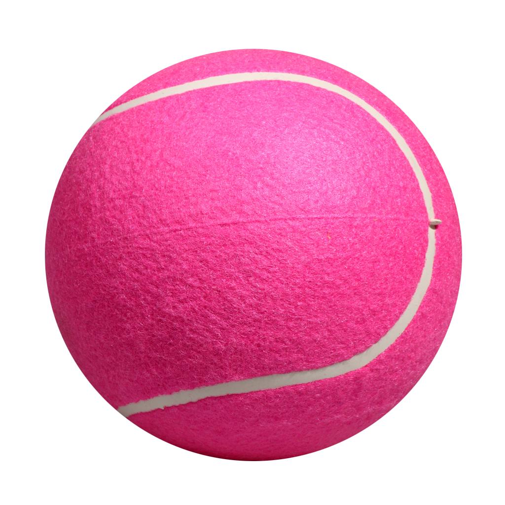 Mainan Bola Tenis Anjing Tiup  - Kids Toys Exhibition ulasan dan harga