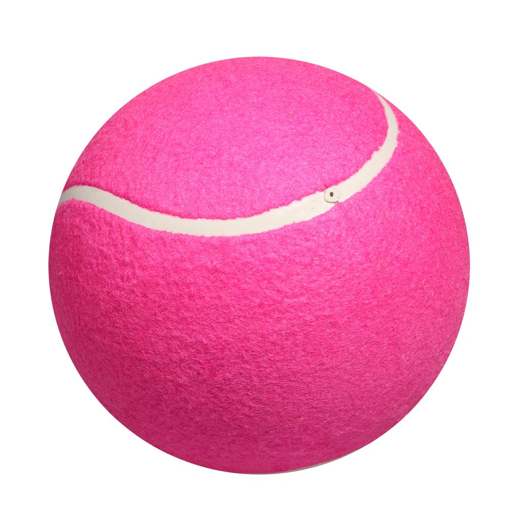 Mainan Bola Tenis Anjing Tiup  - Kids Toys Exhibition ulasan dan harga